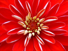 DSCF8013.jpg