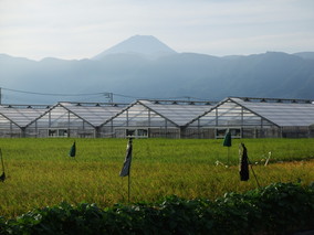 DSCF8024.jpg