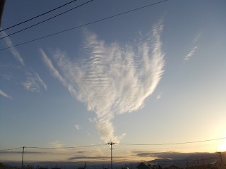 DSCF8025.jpg