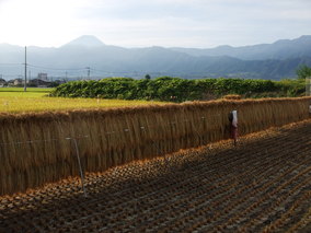DSCF8027.jpg