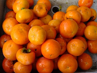 DSCF8044.jpg