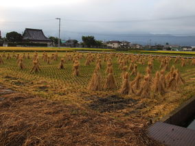 DSCF8094.jpg