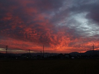 DSCF8209.jpg