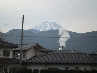 DSCF8213.jpg