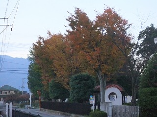 DSCF8222.jpg