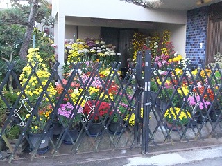 DSCF8243.jpg