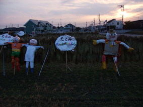 DSCF8246.jpg