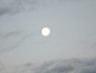 DSCF8272.jpg
