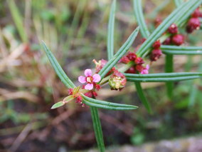 DSCF8280.jpg