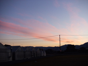 DSCF8537.jpg