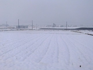 DSCF8786.jpg