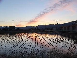 DSCF9154.jpg