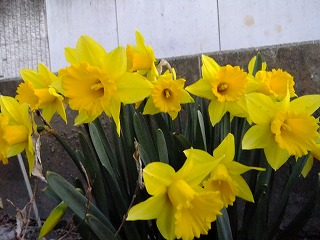 DSCF9159.jpg