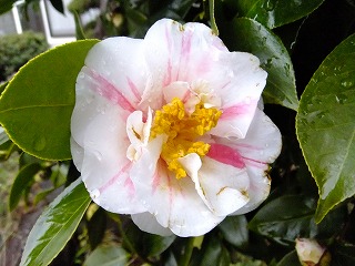 DSCF9244.jpg
