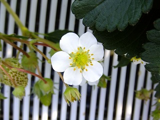 DSCF9280.jpg