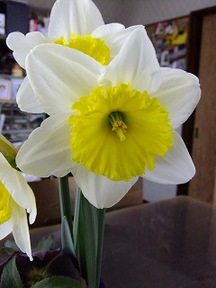 DSCF9319.jpg
