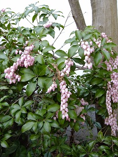 DSCF9438.jpg