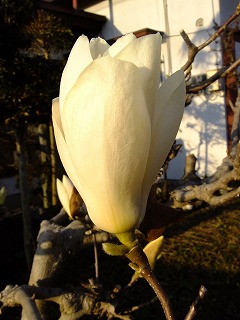DSCF9463.jpg