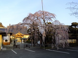 DSCF9478.jpg
