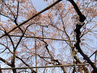 DSCF9480.jpg