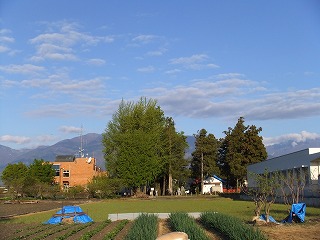 DSCF9829.jpg