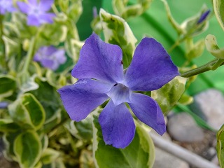 DSCF9851.jpg
