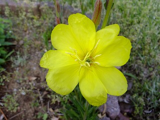 DSCF9853.jpg