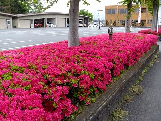 DSCF9874.jpg