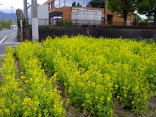 DSCF9884.jpg