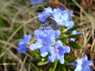DSCF9921.jpg