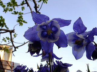 DSCF9934.jpg