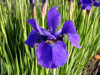 DSCF9941.jpg