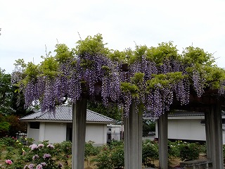 DSCF9968.jpg