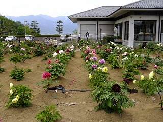 DSCF9970.jpg