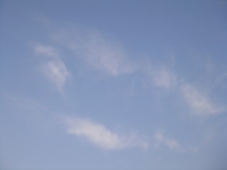 DSCF9987.jpg