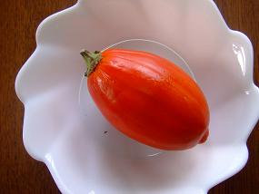 朝の散歩 121.jpg