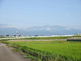 朝の散歩 169.jpg