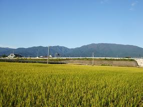 朝の散歩 402.jpg