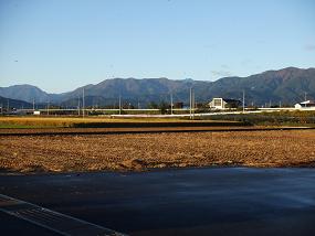 朝の散歩 492.jpg