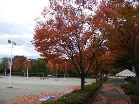 アッシュ 011.jpg