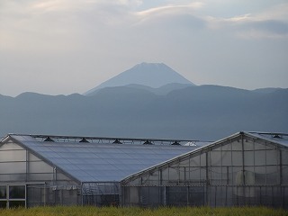 動物園 040.jpg