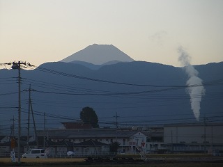 動物園 319.jpg