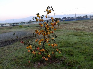動物園 333.jpg