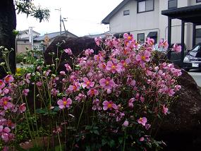 画像 079.jpg