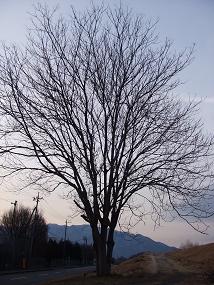画像 379.jpg