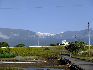 hanahana 427.jpg
