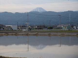 hanahana 444.jpg