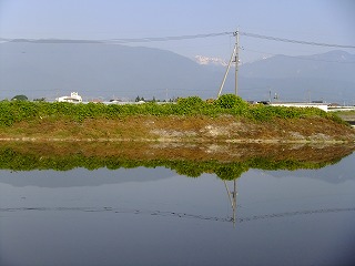 hanahana 485.jpg