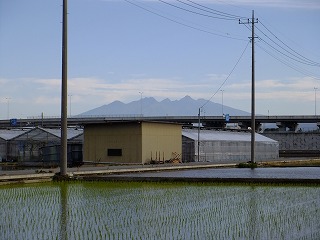 hanahana 600.jpg