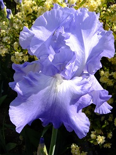 香川 233.jpg
